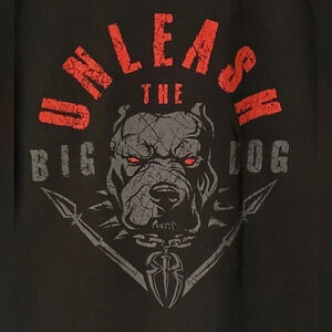 WWE Authentic Wear Roman Reigns "Unleash The Big Dog" Graphic T-Shirt Size Large